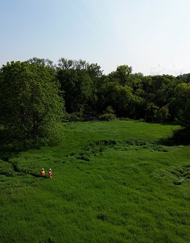 Workers in hard hats walking through a green space surrounded by trees