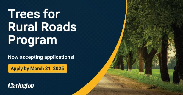 Trees for rural roads program. Now accepting applications! Apply by March 31, 2025