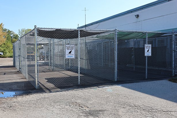 More room to play and stretch means happier days and happier dogs. Shade canopies keep playtime cool while staff make sure every pup gets regular outdoor time.