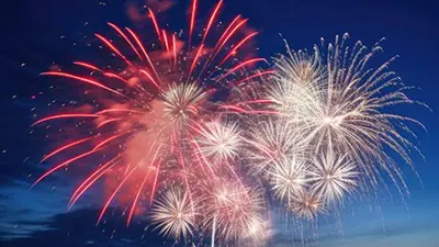 Fireworks exploding in the air.