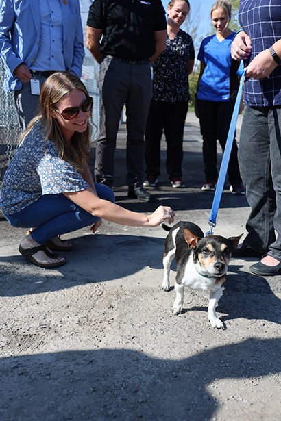 Come meet your future best buddy. These dogs are loving their new space — and they’re ready to find a loving home.
